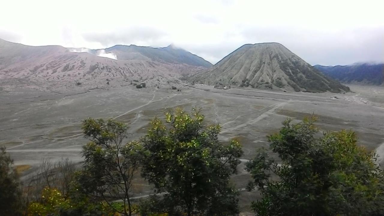 Mentigen Homestay Ngadisari Exterior foto