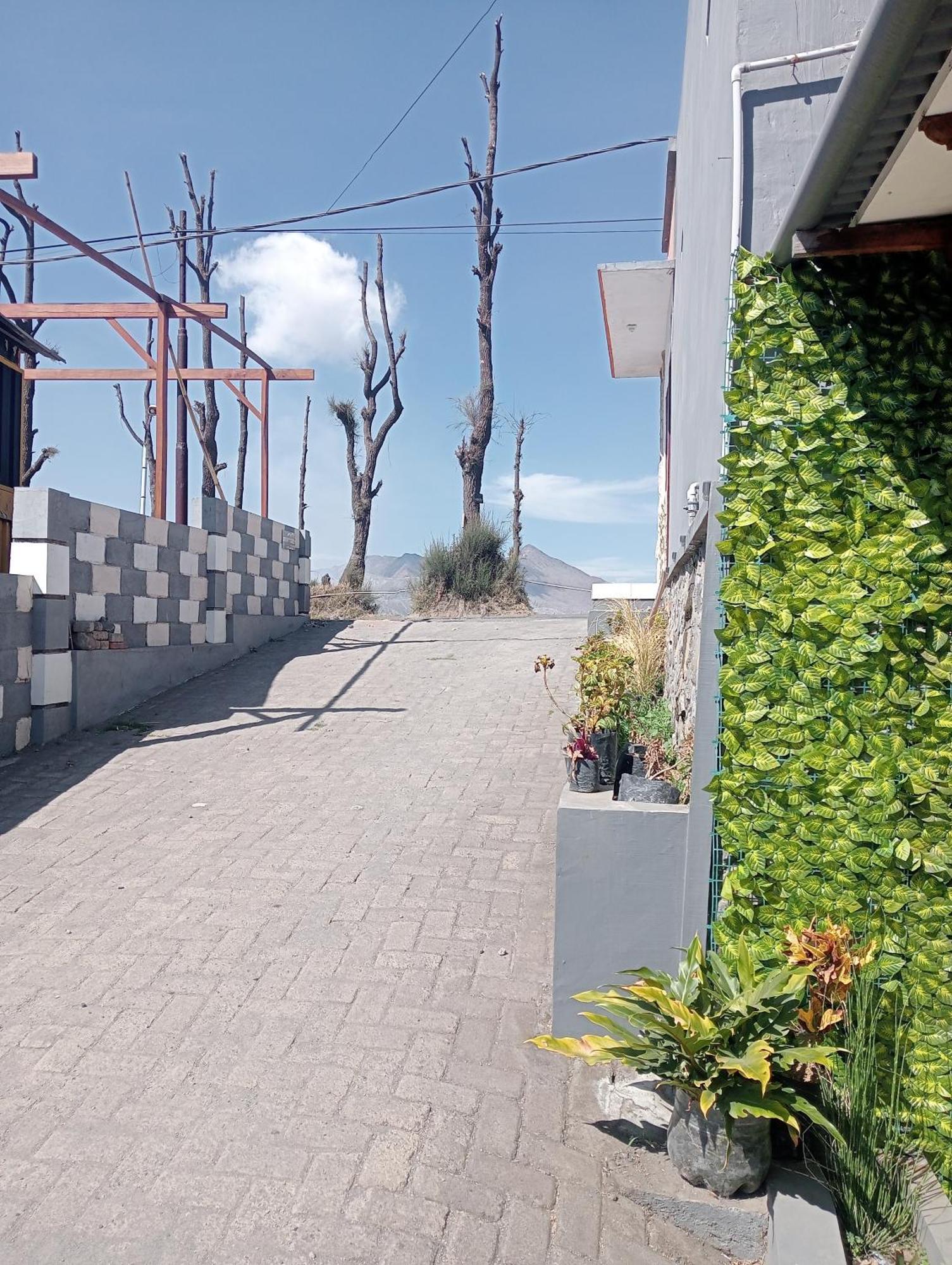 Mentigen Homestay Ngadisari Exterior foto